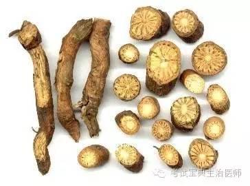 查找中药山豆根功效和副作用,中草药山豆根的功效与作用