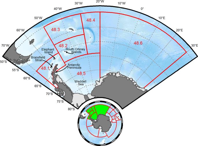 磷虾危机：6.5亿吨“蛋白库”，人类动了鲸鱼的“奶酪”？