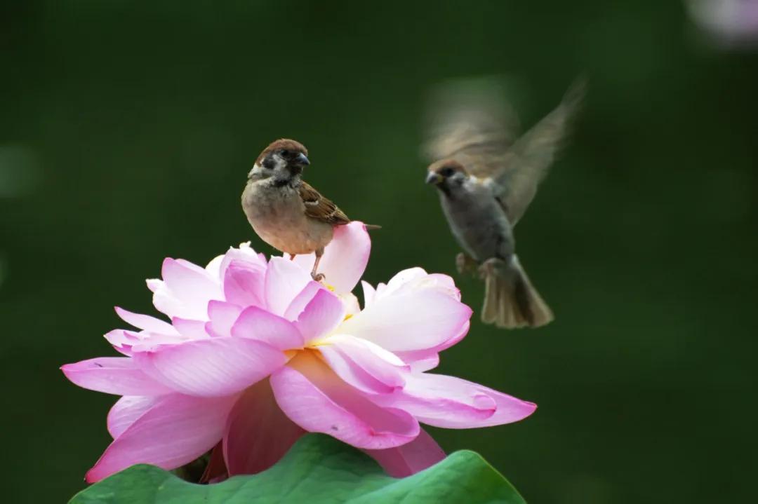 香港第14届全国摄影艺术展,第29届全国摄影艺术展览获奖名单