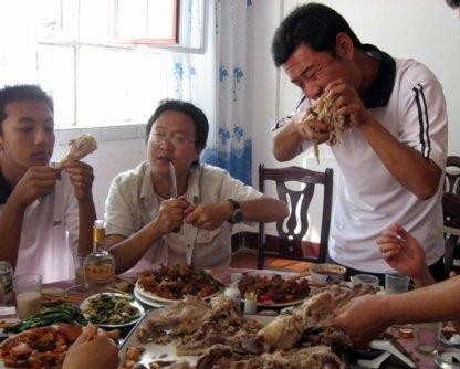 预测：20年后人类可与猫狗聊天！桂林狗肉节岂不呼救声一片￼