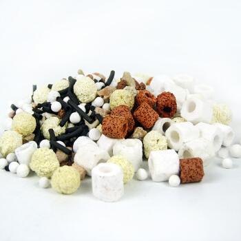 龟缸可以用硝化细菌吗,怎样看龟缸硝化细菌群建立好了