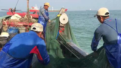 潮汕阿嫲土特产,潮汕应季热卖海鲜