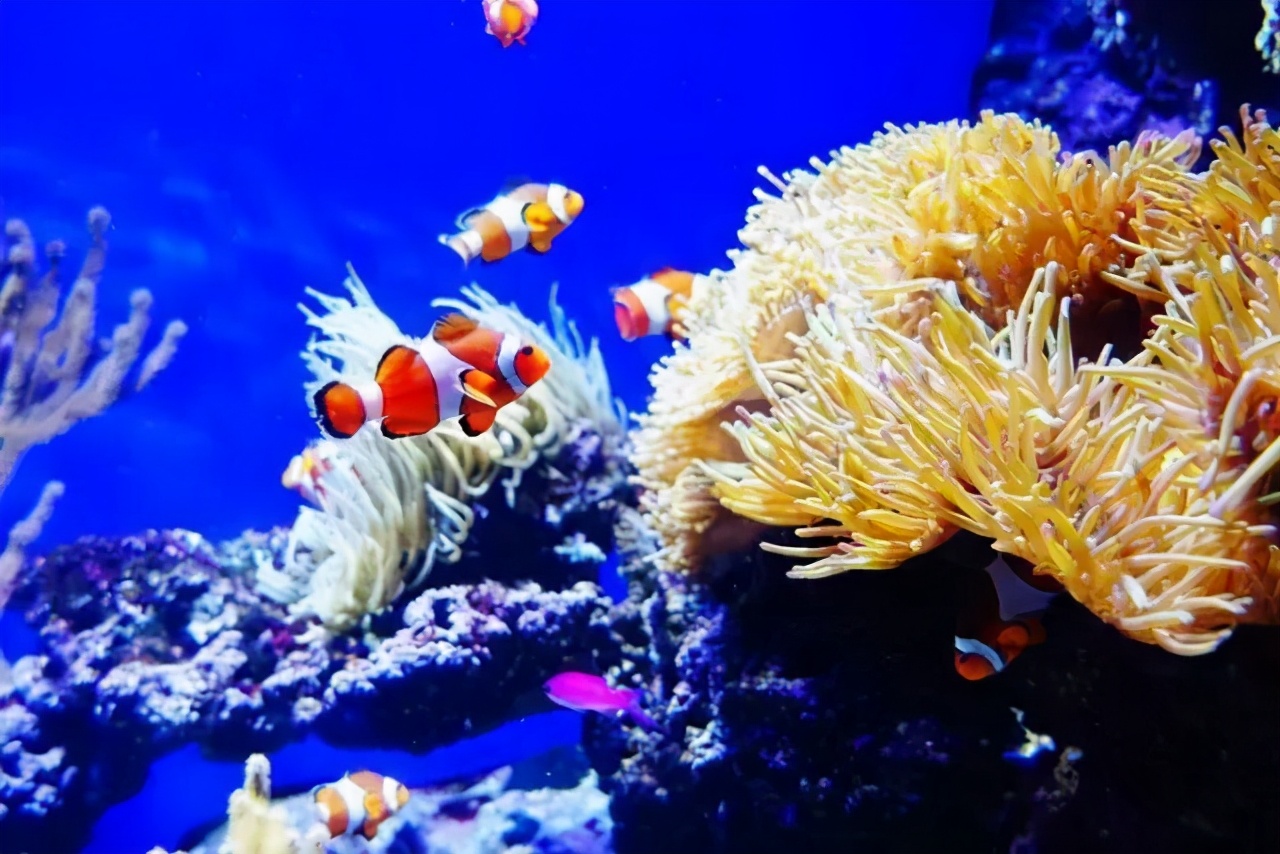 郑州地铁3号线转4号线,郑州地铁5号线景点适合3月打卡地