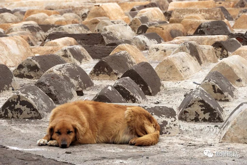 仔细看一看：包容的力量到底有多大？