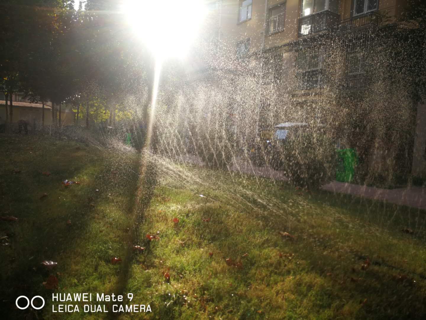 凤凰城二期物业管理,凤凰城物业现状