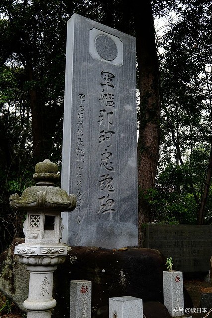 连续13年被评为最具幸福感城市,茨城城市