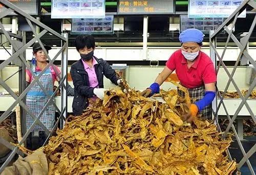 靠搞定男人,干翻腾讯阿里!中国最赚钱的公司,一天狂赚3.2亿