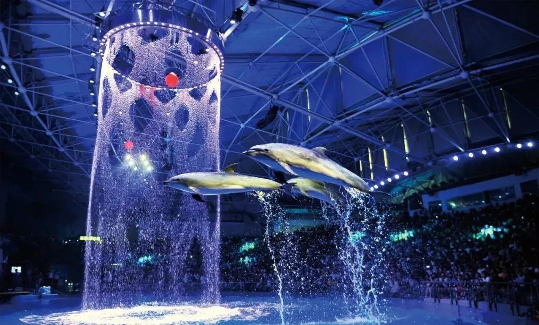 青岛海边遛娃免费十佳去处,青岛夏季遛娃