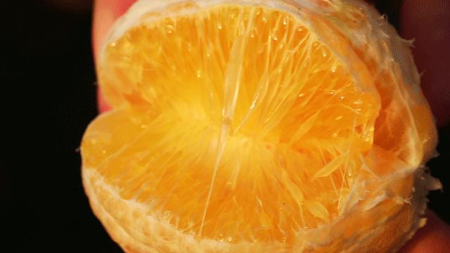 超爽福利暴击！高山神秘“金疙瘩”,甜蜜你的冬天