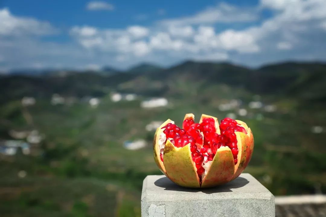 2岁多小孩吃石榴不吐籽,孩子吃石榴不吐籽有危害吗