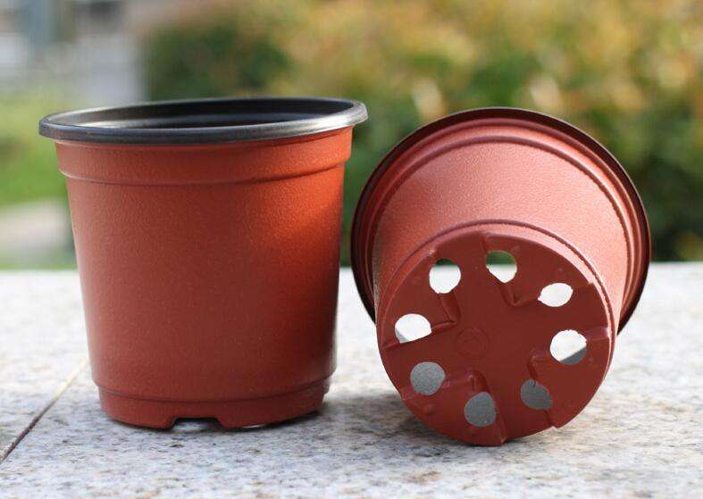 如何为你的植物选择合适的花盆,怎么选择合适的花盆口径