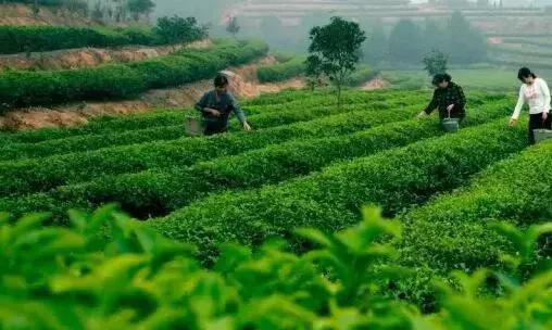 端午旅游推荐2-3天游长沙,端午长沙周边游旅游攻略