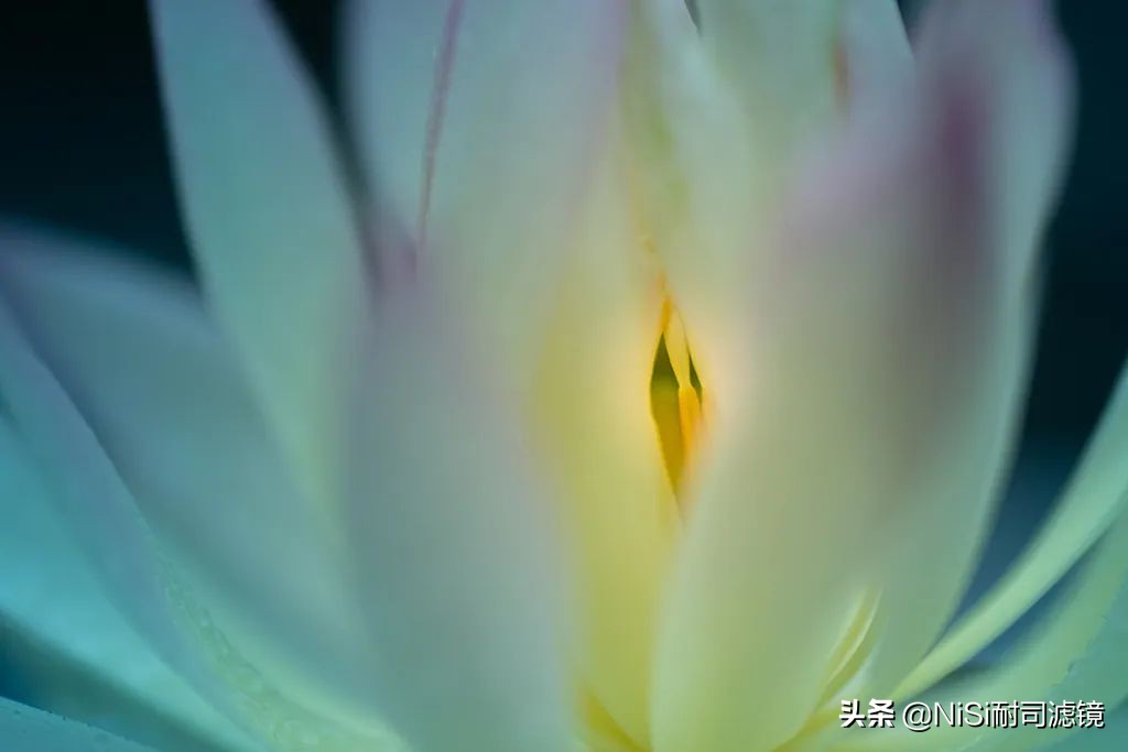 微距拍摄滑轨推荐,微距拍照最强的千元机实测