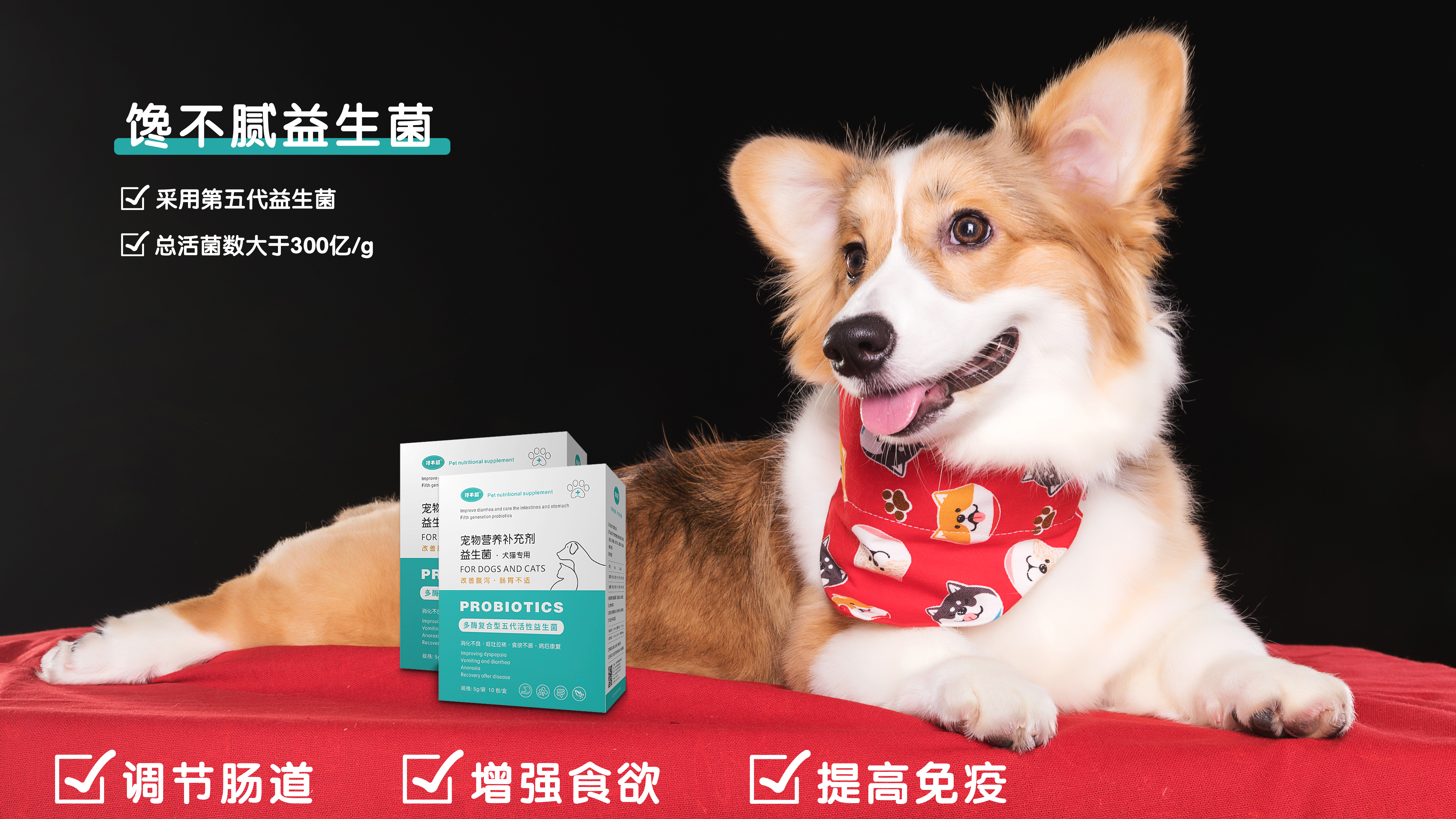 小狗拉肚子怎么治疗,小狗拉肚子怎么办最快最有效