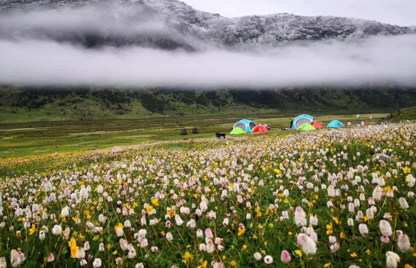 成都清明节近郊游单程一小时,清明节成都徒步旅行