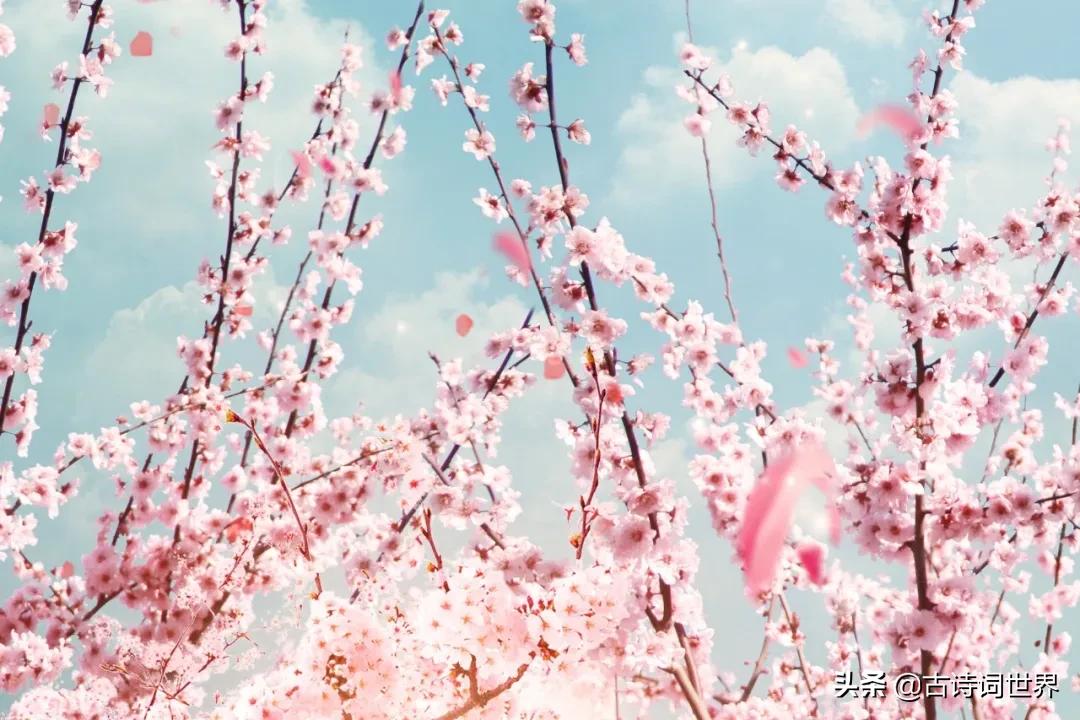 形容诗写得很唯美的四字成语,100个四字成语优美的古诗词