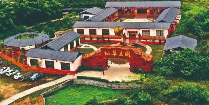 过年就近去哪里玩,新年去广西哪里玩