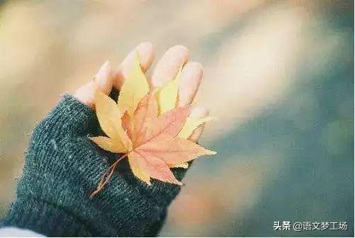 经典作文素材100字,经典素材作文500字