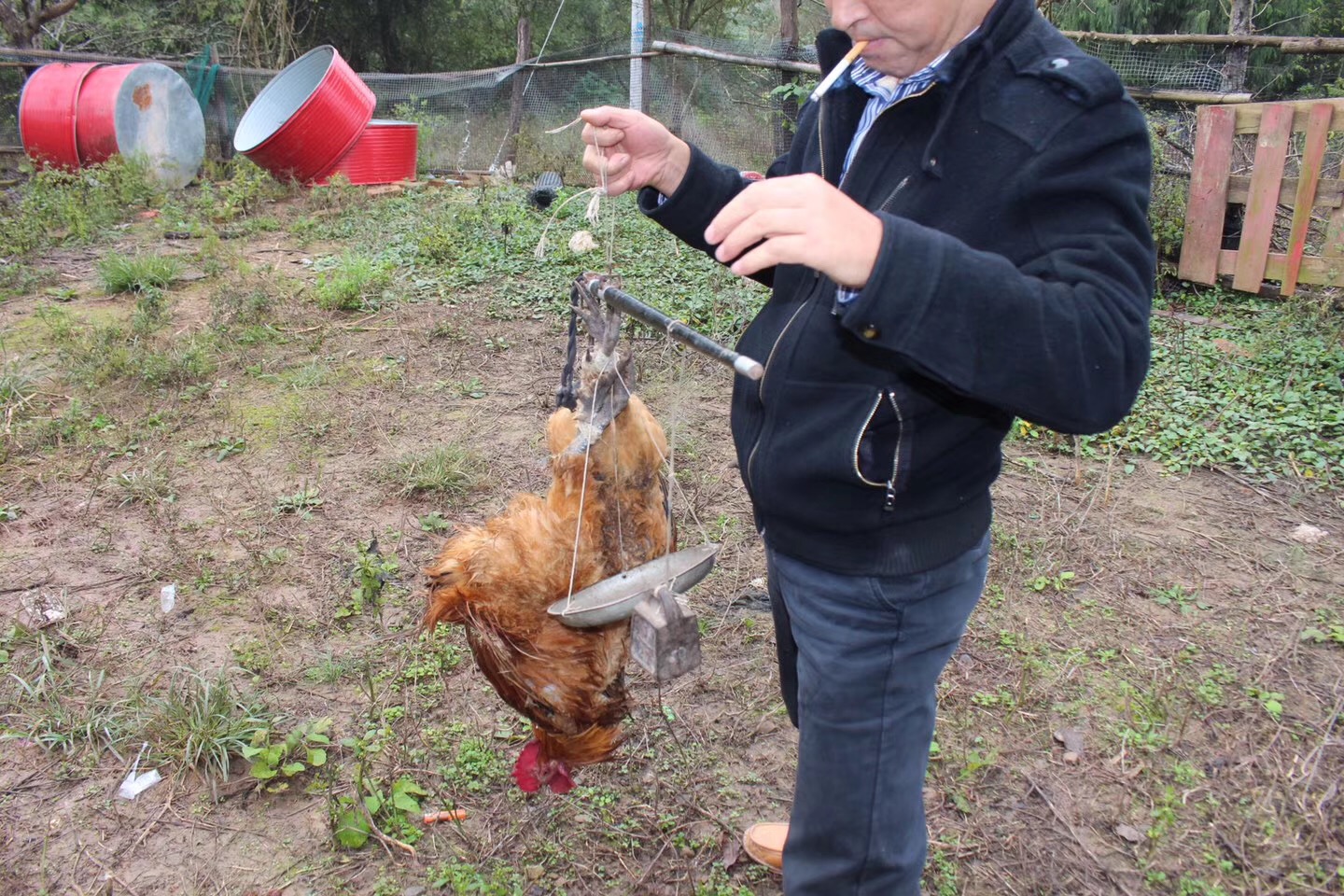 小县城做点什么小生意一年赚10万,在农村如何做到年入10万