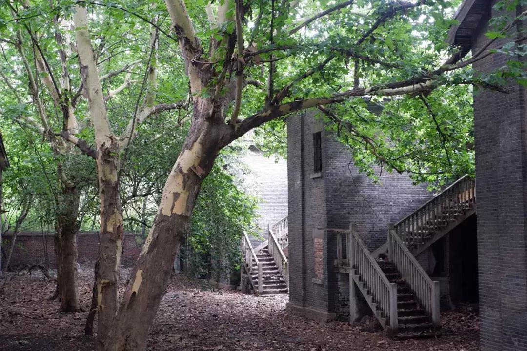 在大厂工作是种什么体验,生活在大厂是种什么样的体验