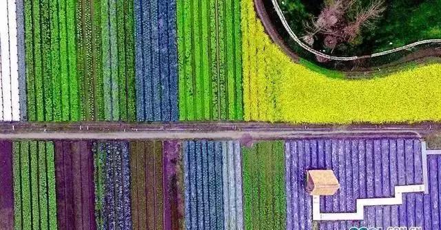 多利成都农庄门票,多利农庄门票