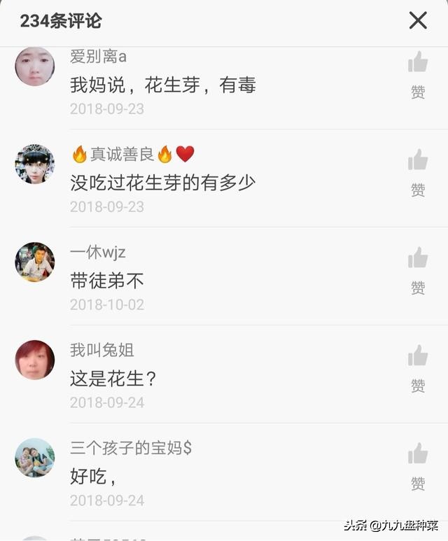 花生芽的危害辟谣,自己发的花生芽有毒吗