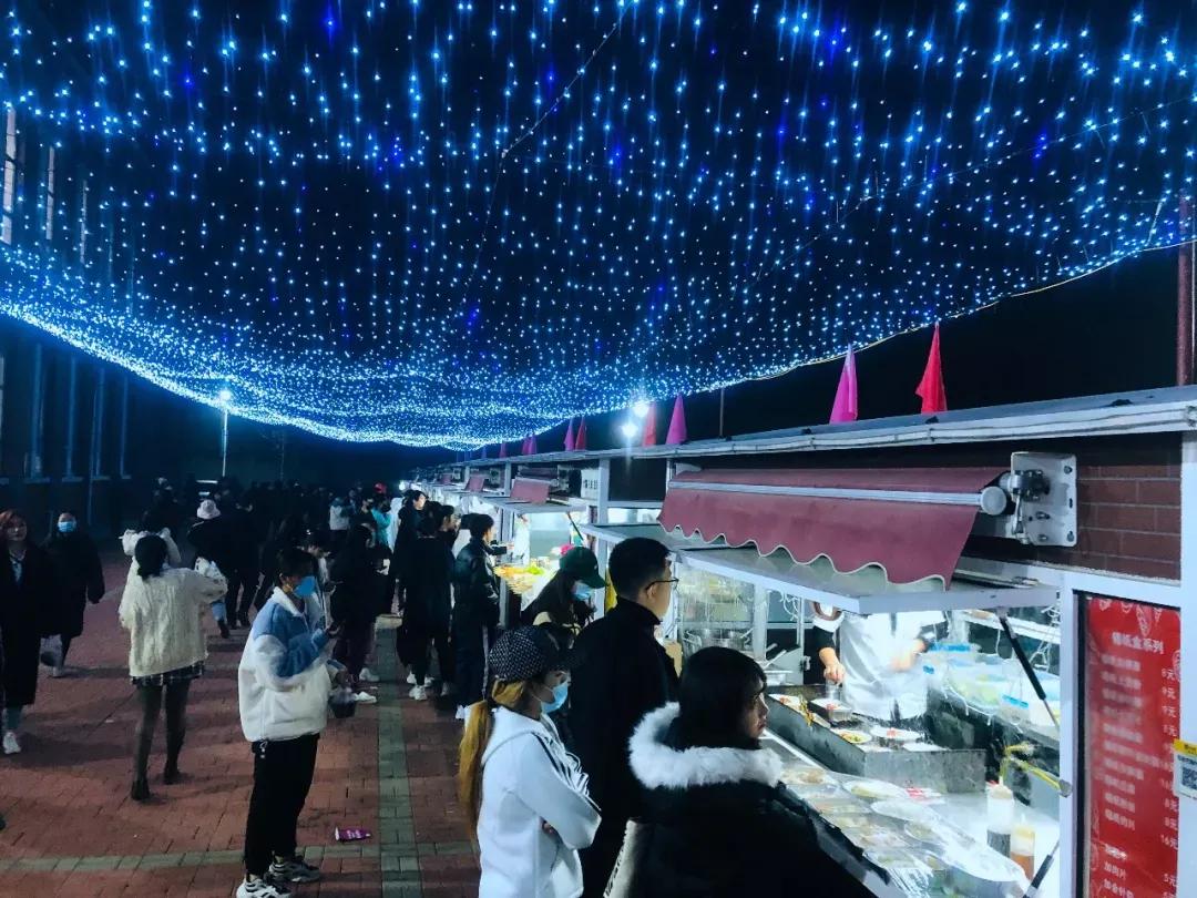 民办学校大连艺术学院全国排名,大连艺术学院辽宁排名