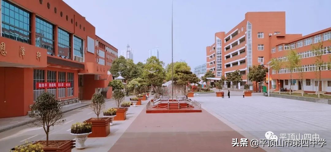平顶山第四十六中学招生,平顶山实验中学2024招生简章