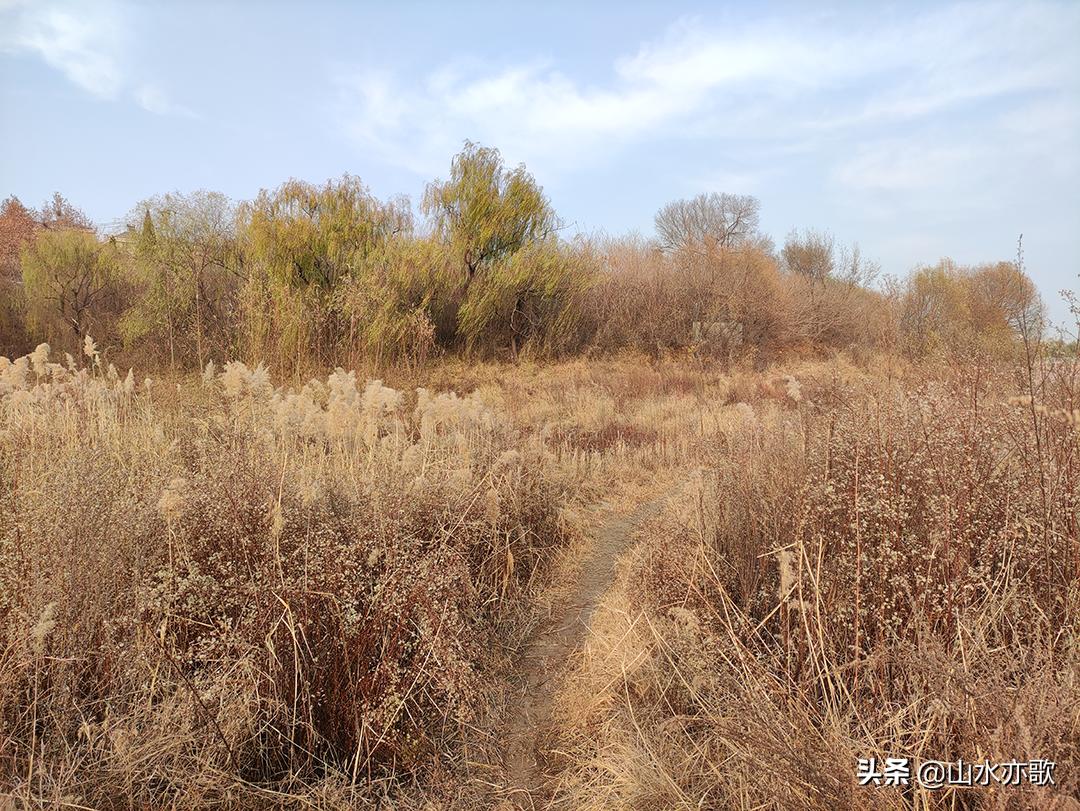 石家庄真正值得去的景点,石家庄最值得去看看的景点