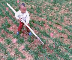 生不生二胎给个建议吧,38岁二胎生不生专家建议