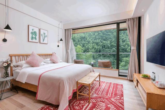 山林竹笋泊云屋舍.....莫干山每一宿都有不期而遇小惊喜