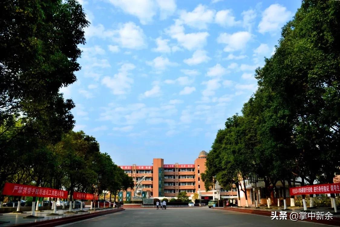 一起见证一所学校的成长,一起见证你的成长视频