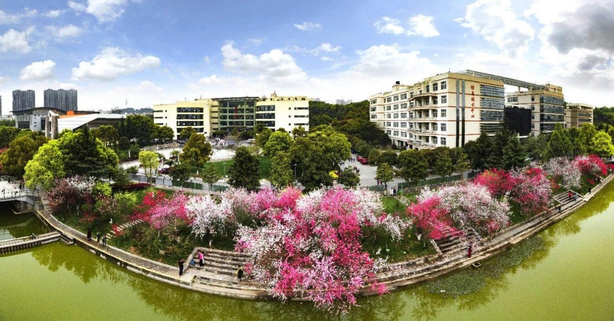 湖北医学院附属医院排名,临床医学大学全球排名