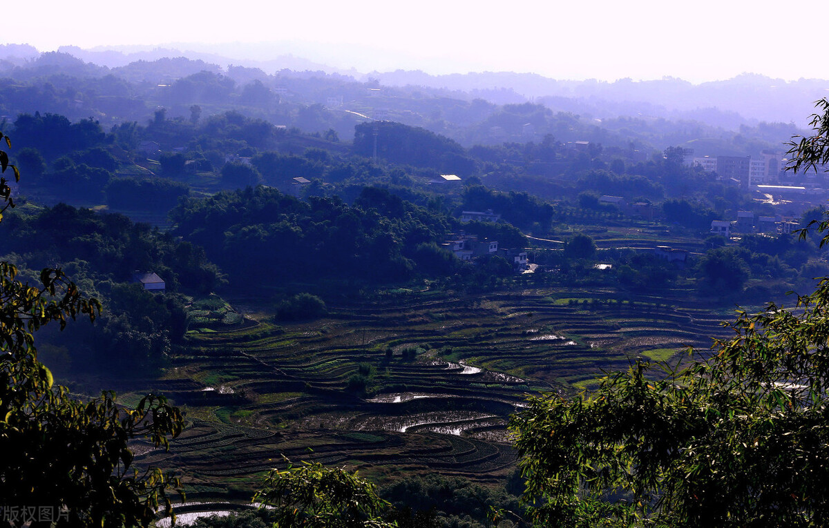泸州酒哪些比较好,泸州老窖高粱熟了红满天