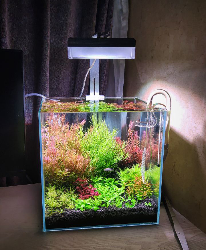 水族店的利润有多少,2023年水族店的发展前景