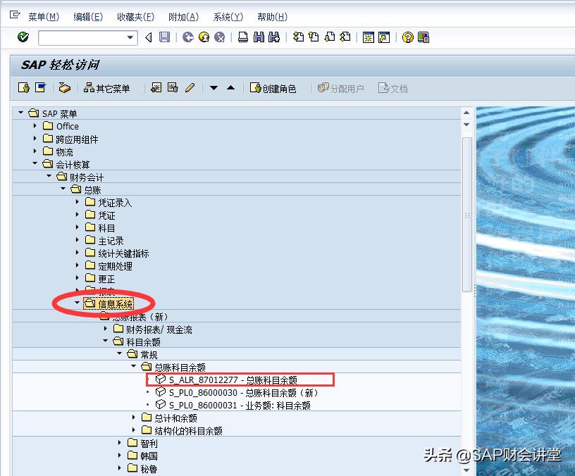 sap科目余额表怎么导出表格,sap科目余额表怎么区分银行账户
