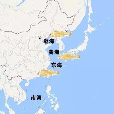 开捕啦3：黄鱼金灿灿，大黄鱼小黄鱼你爱哪一款？