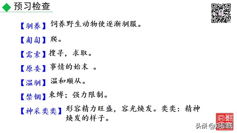 七上人教版第十七课动物笑谈课件,七上语文动物笑谈