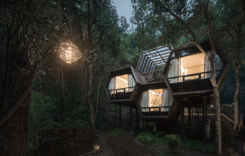 cpa中国邀请赛,cpca上海展