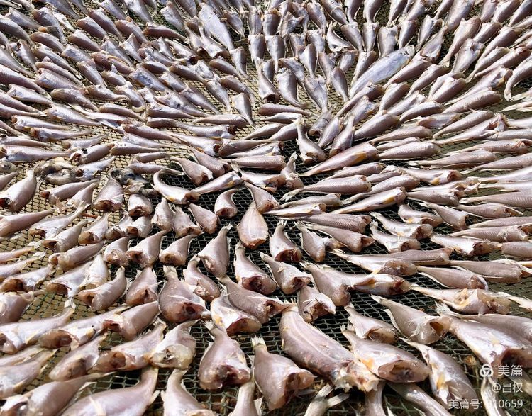 连云港海滨疗养院地址,国内环境优美的疗养院