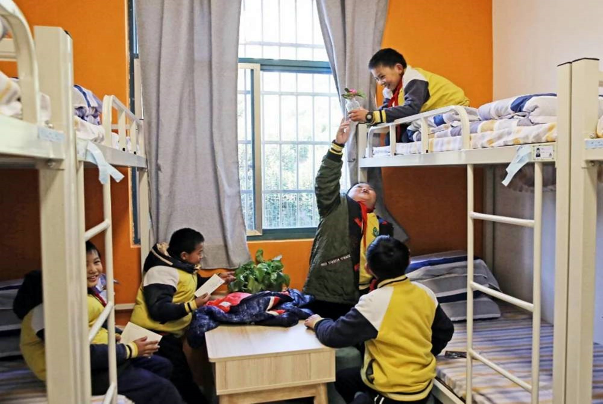 再苦也不会让孩子住校,白岩松谈小学生寄宿的危害