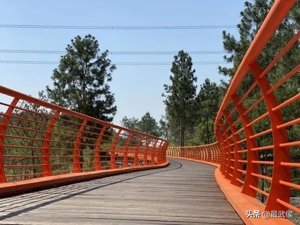 西双版纳热带雨林公园,西双版纳雨林热带公园