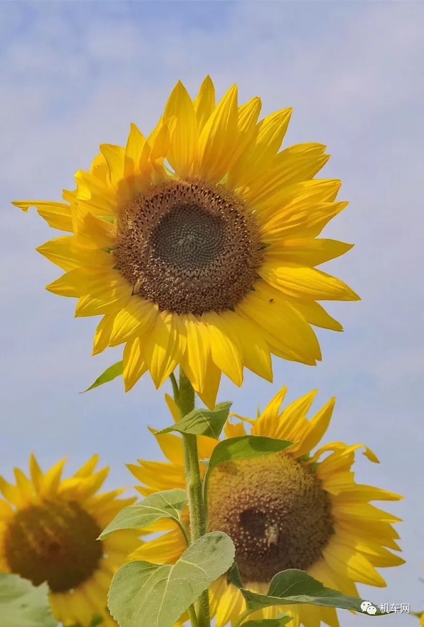 深圳铁骑摩托车,三十而立摩托车