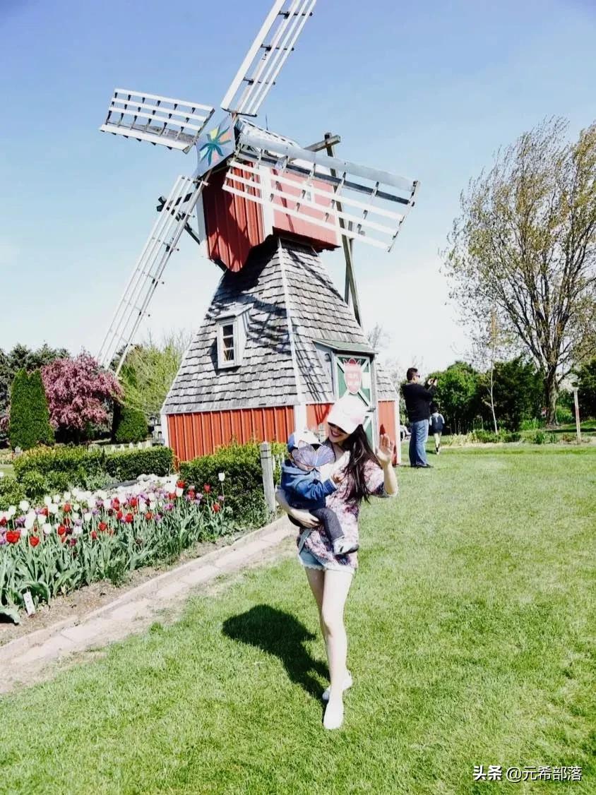 荷兰小镇郁金香盛开,荷兰小镇郁金香花海