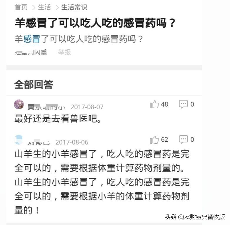 警醒！羔羊生病喂人吃的“头疼药”是“土办法”？实则违法