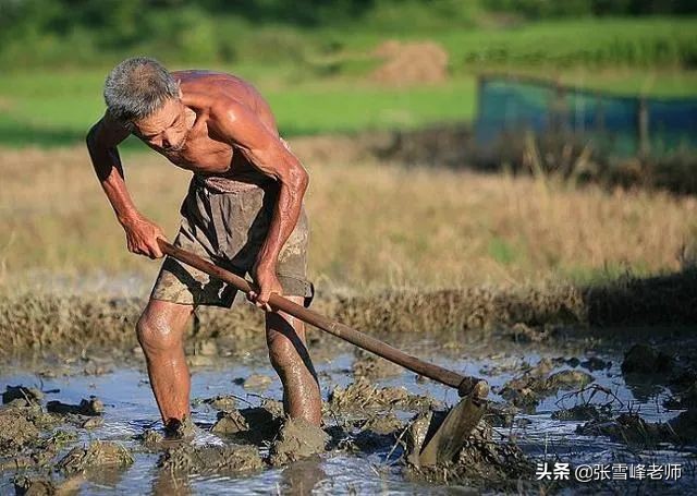 张雪峰谈农村专项招生有哪些专业,张雪峰讲志愿类专业