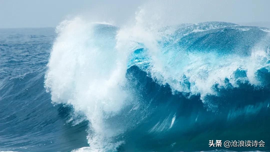 你为何写不出好诗？因为缺乏想象力，王和尚讲诗：用好四招写妙句