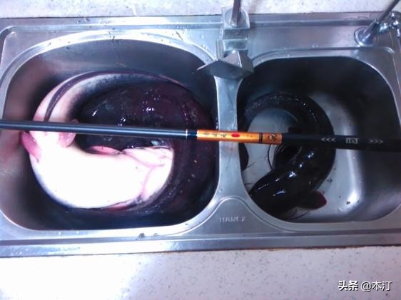 忙里偷闲抽点时间出来钓鱼,忙里偷闲去钓鱼的视频