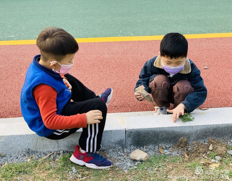 金色童年8张图片,金色的童年相片