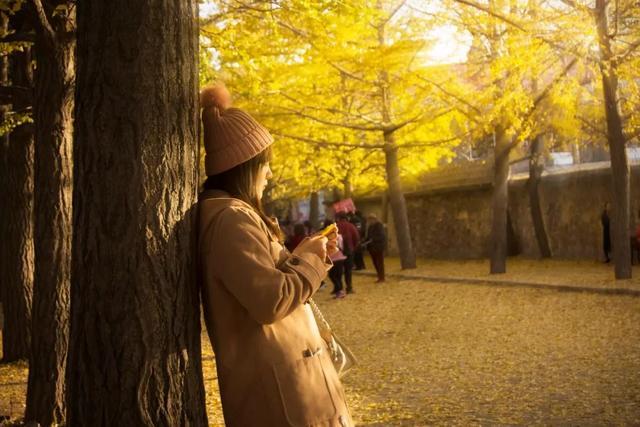 突然就想去旅游了,忽然间就想去厦门了